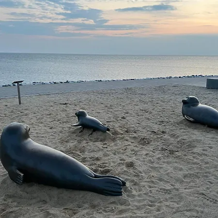 Krabbe-backbord Terrassenhaus דירה בוסום